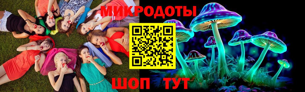 Псилоцибиновые грибы мицелий Иркутск